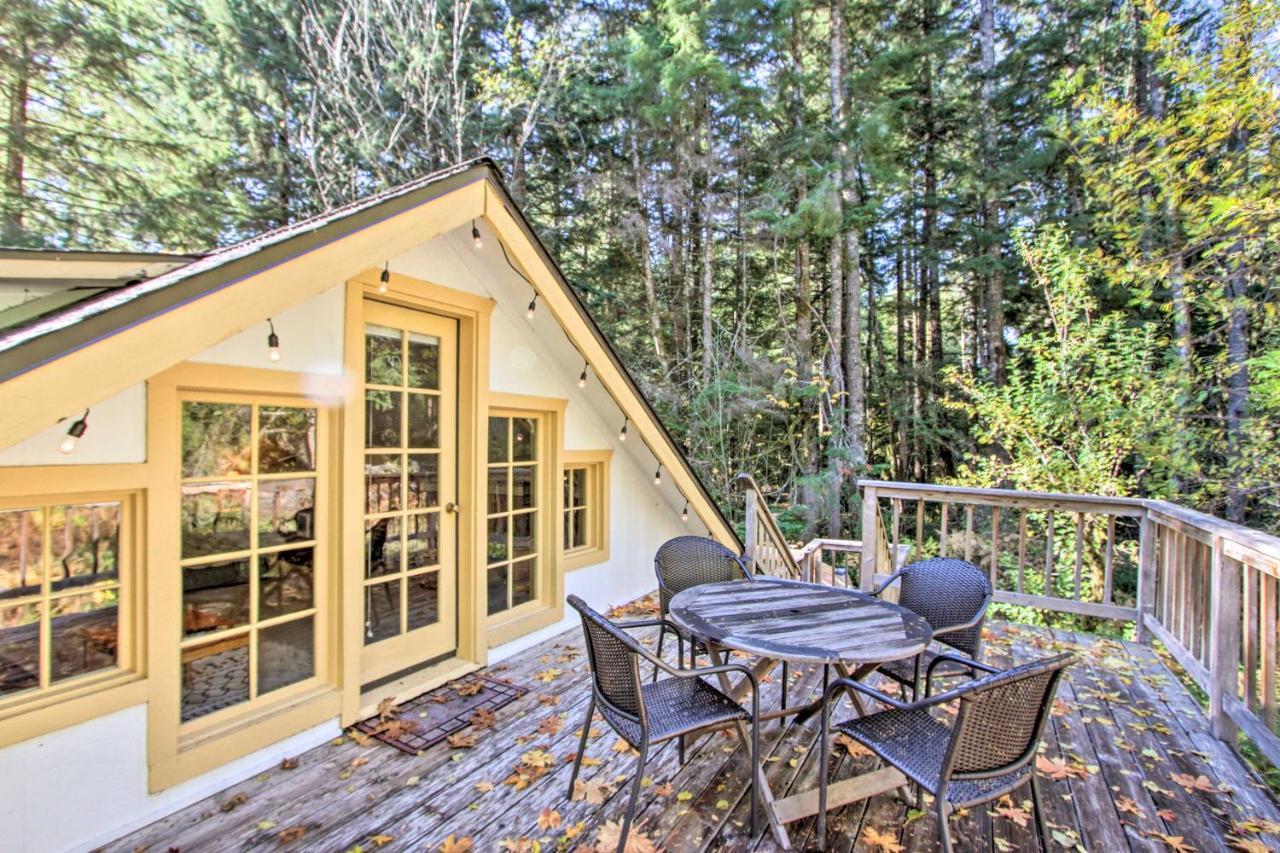 Owls Nest Studio With Hot Tub Hike Nearby! Ashford Eksteriør bilde