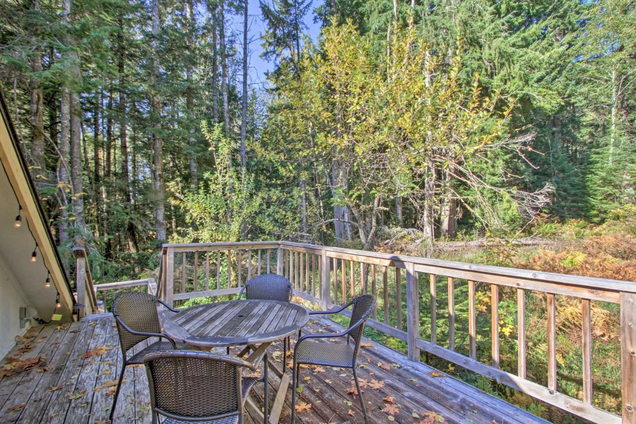 Owls Nest Studio With Hot Tub Hike Nearby! Ashford Eksteriør bilde